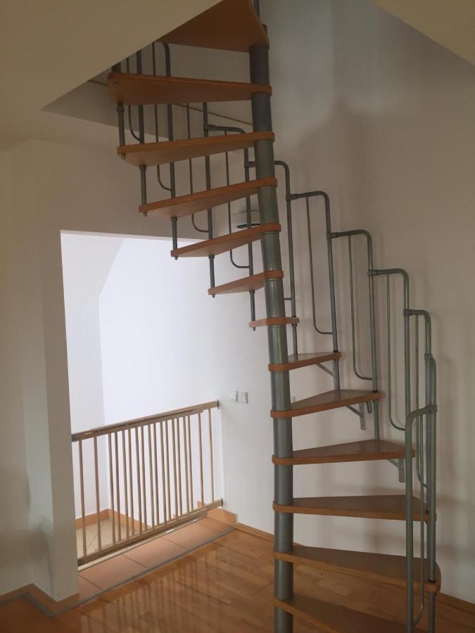 Apartament Casa Flavia Sancraiu de Mures Zewnętrze zdjęcie